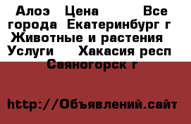 Алоэ › Цена ­ 150 - Все города, Екатеринбург г. Животные и растения » Услуги   . Хакасия респ.,Саяногорск г.